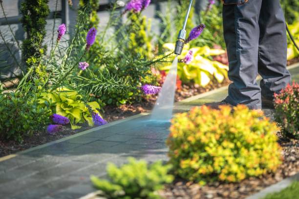 Best Pool Deck Cleaning  in Creswell, OR